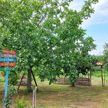 Veli Guest House • Საოჯახო Სასტუმრო Ველი Zemo Alvani Екстериор снимка