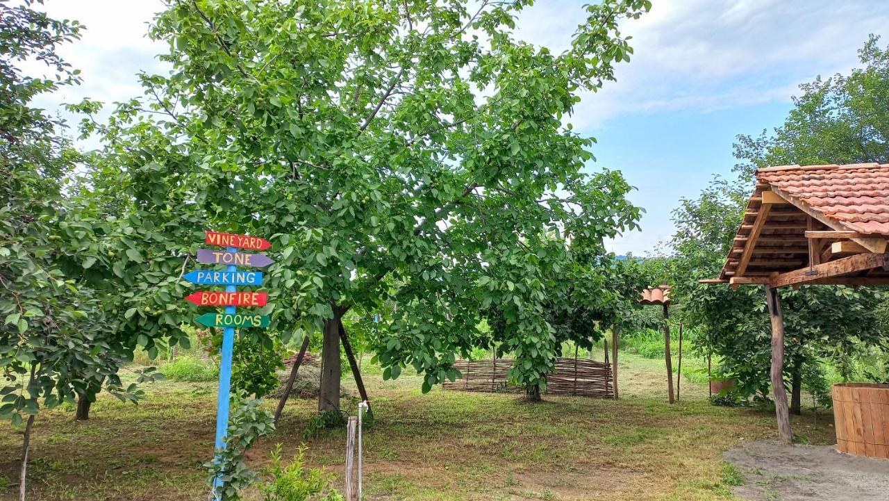 Veli Guest House • Საოჯახო Სასტუმრო Ველი Zemo Alvani Екстериор снимка