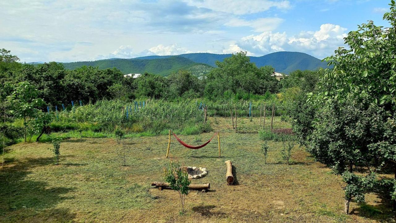 Veli Guest House • Საოჯახო Სასტუმრო Ველი Zemo Alvani Екстериор снимка